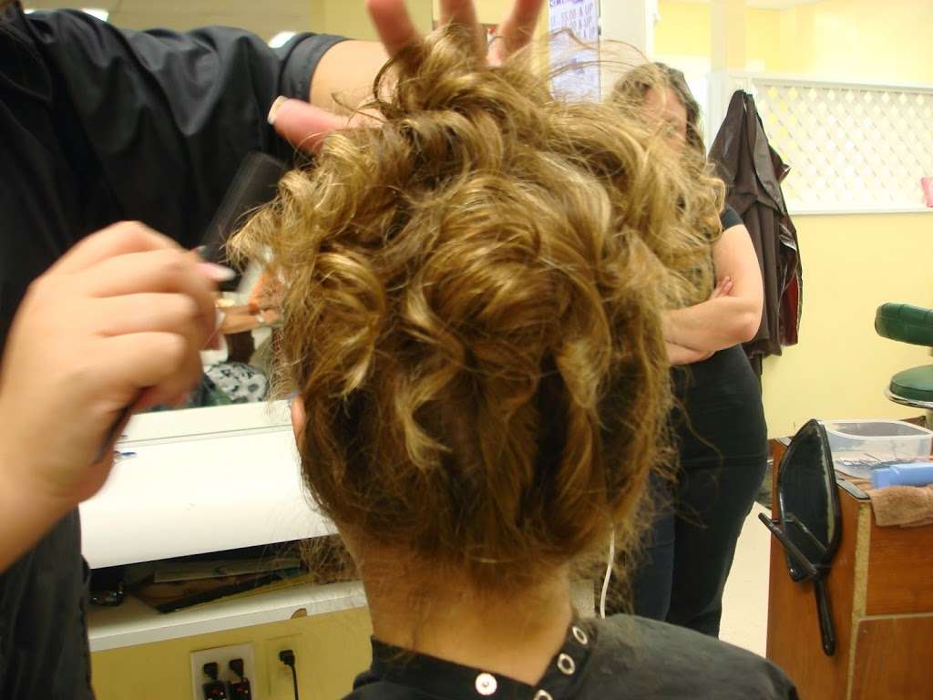 Hairs to You | 540 County Road 519, Belvidere, NJ 07823, USA | Phone: (908) 475-5911