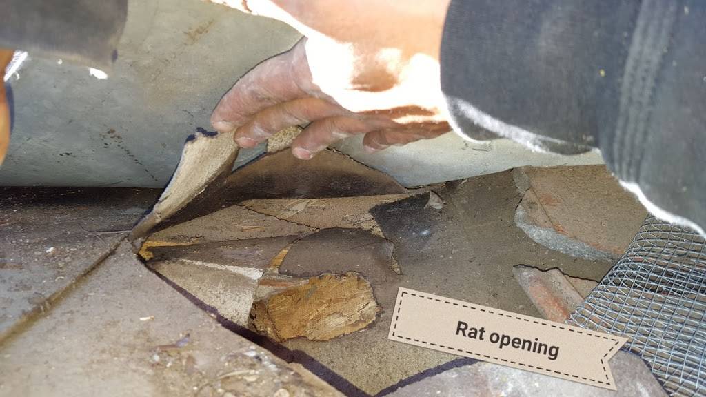 Pacific Pest Control, Inc | 9272 Jeronimo Rd #110, Irvine, CA 92618, USA | Phone: (657) 235-0344