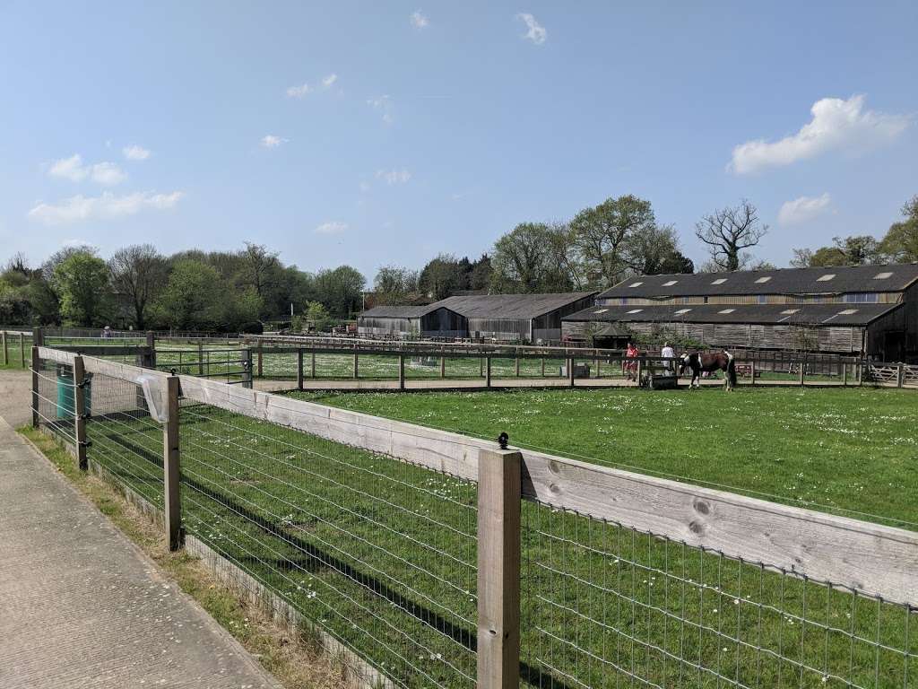 Redwings Horse Sanctuary - Ada Cole | Broadlands, Epping Road, B181, Roydon, Nazeing EN9 2DH, UK | Phone: 0870 040 0033