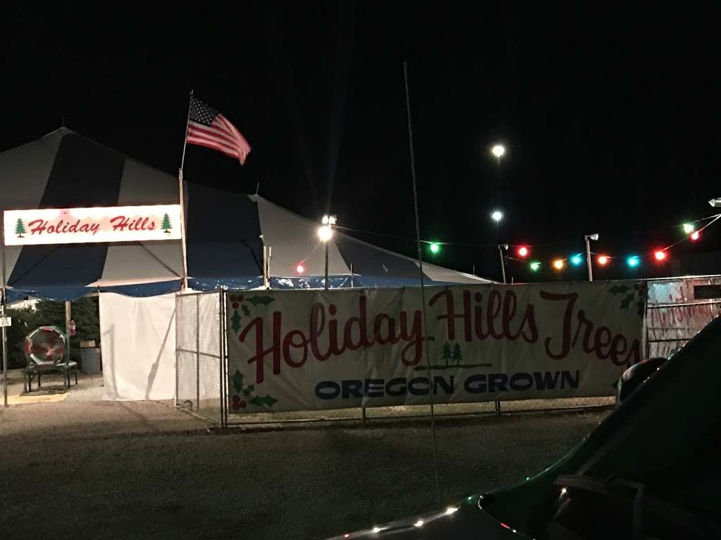 Holiday Hills Christmas Trees | 17967 N Interstate 35 Frontage Rd, Schertz, TX 78154, USA | Phone: (210) 801-4495
