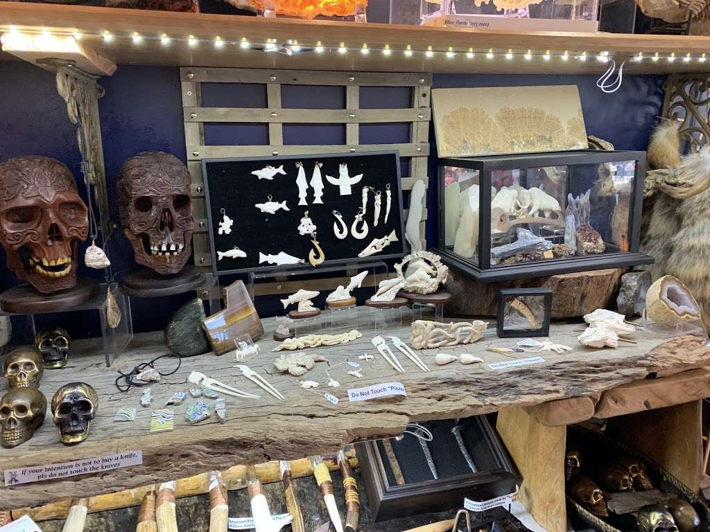 Jurassic Fossils | 28200 CA-189, Lake Arrowhead, CA 92352 | Phone: (909) 589-9045