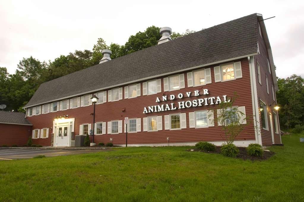 Andover Animal Hospital | 243 Newton Sparta Rd, Newton, NJ 07860, USA | Phone: (973) 940-2276