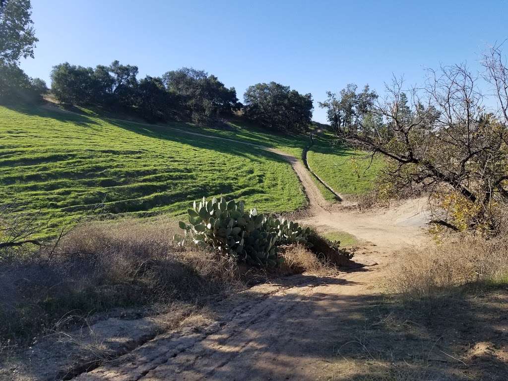 Steep Canyon Trail | 902 Steep Canyon Rd, Diamond Bar, CA 91765