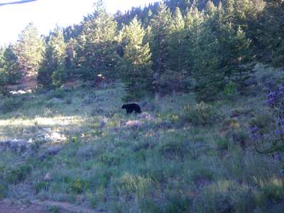 Pine Creek Cabins Vacation Rentals & Property Management | 1263 Giant Track Rd, Estes Park, CO 80517 | Phone: (970) 586-8166