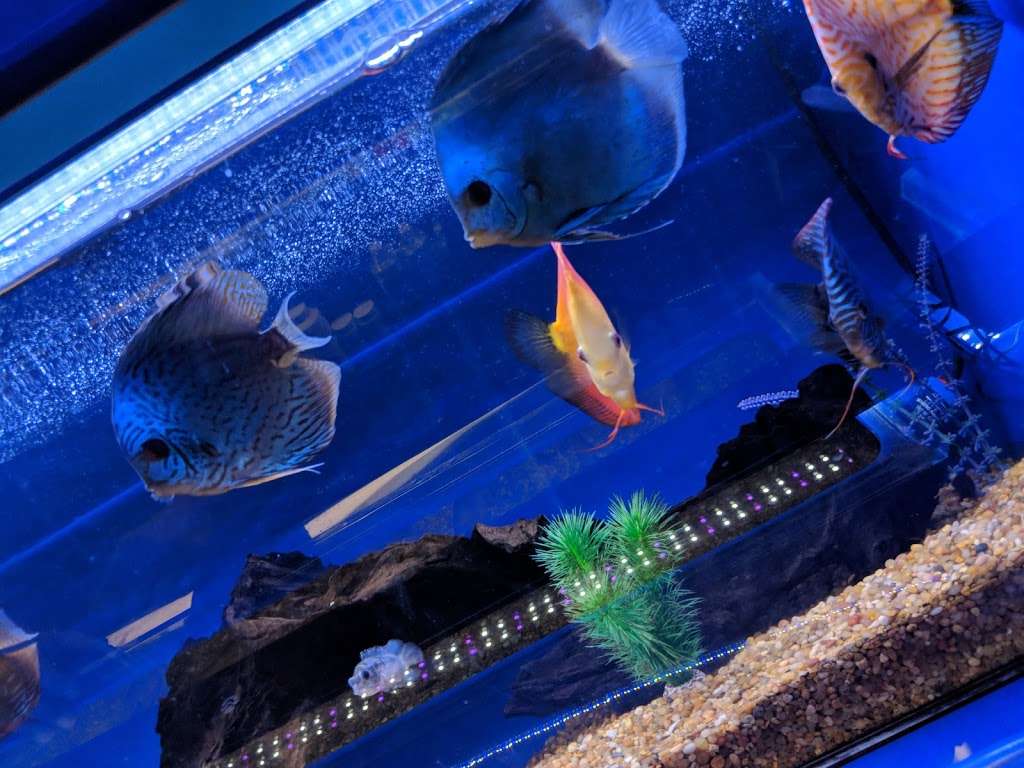 Underwater Depot | 13708 Ventura Blvd, Sherman Oaks, CA 91423 | Phone: (818) 789-7323