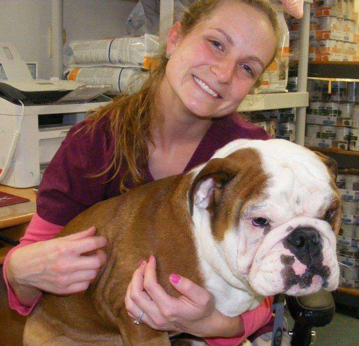 Conrad Weiser Animal Hospital | 105 N 3rd St, Womelsdorf, PA 19567 | Phone: (610) 589-5019