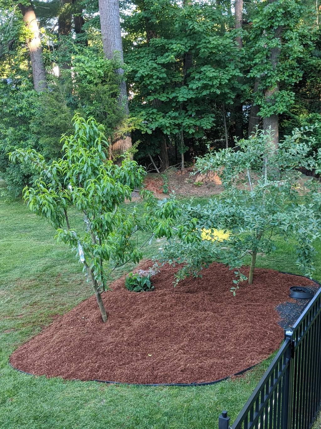 My Mulch Man | 21 Wyman St, Burlington, MA 01803, USA | Phone: (781) 272-0568