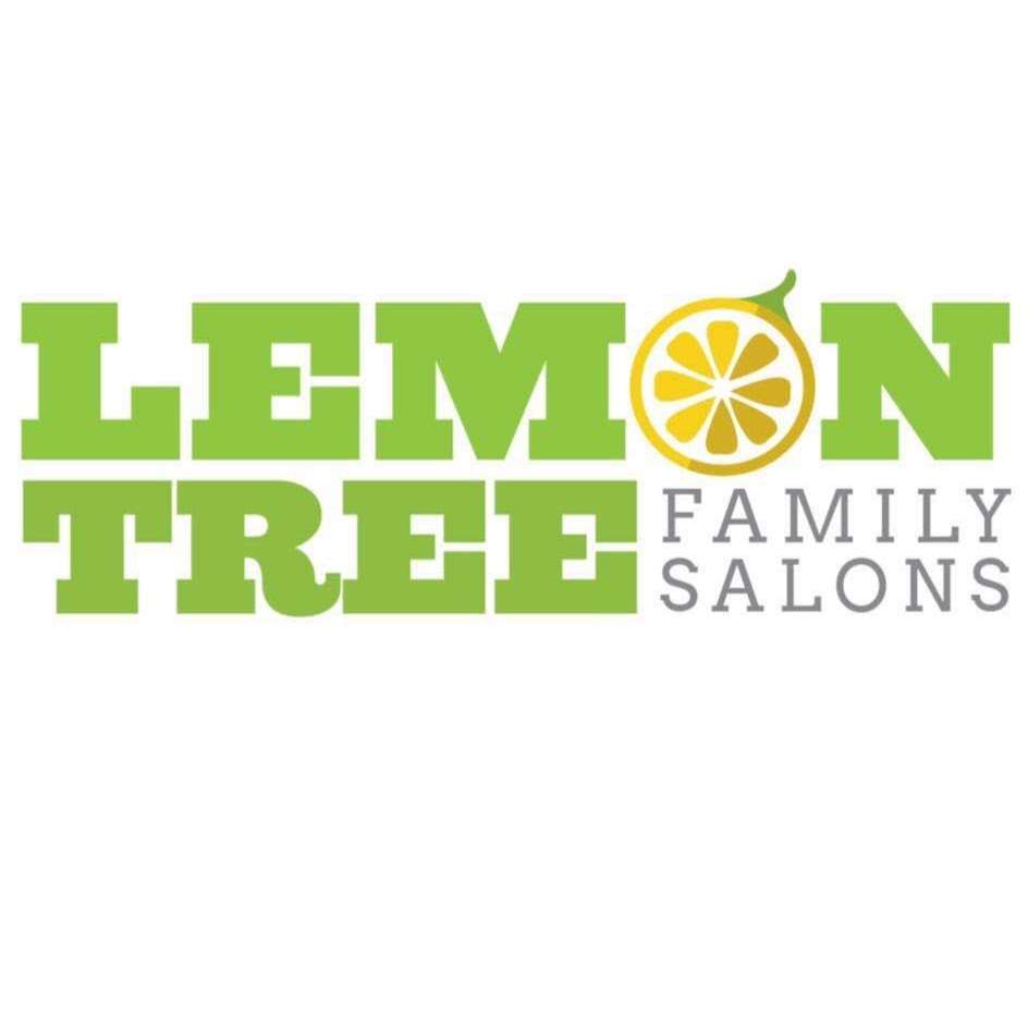 Lemon Tree Family Salons - Katy | 2211 N Fry Rd STE. F, Katy, TX 77449, USA | Phone: (281) 206-7139