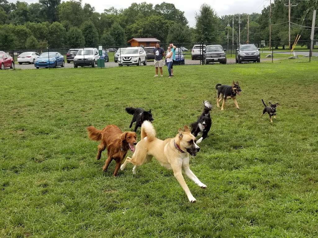 Longford Park/Reynolds Dog Park | 100 Longford Rd, Phoenixville, PA 19460, USA | Phone: (484) 391-2390