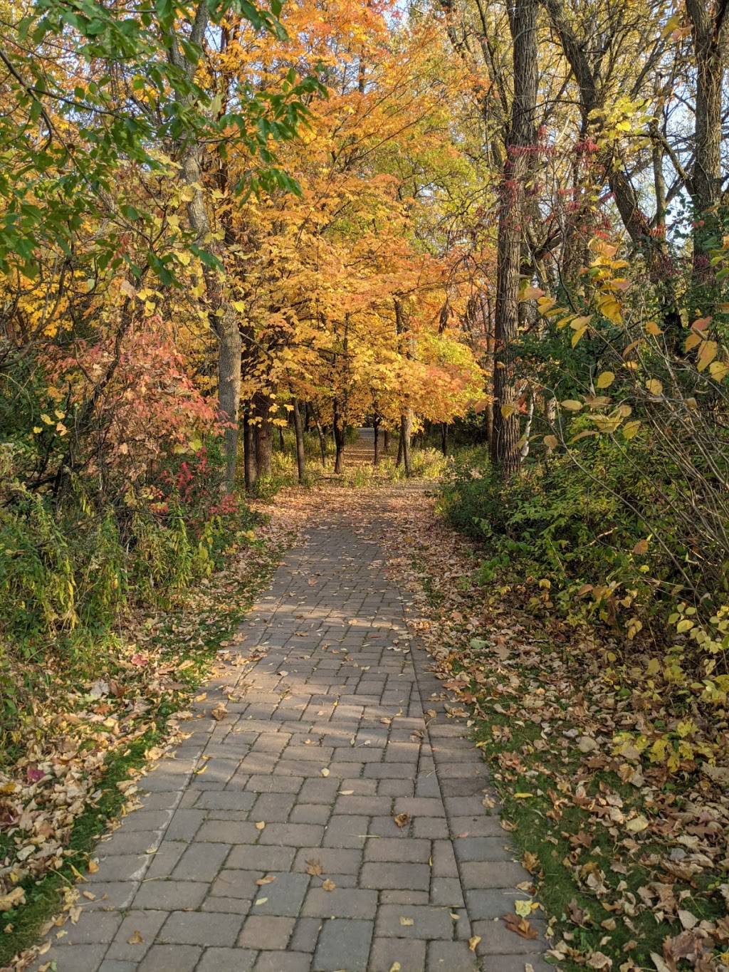 Richardson Nature Center | 8737 E Bush Lake Rd, Bloomington, MN 55438, USA | Phone: (763) 694-7676