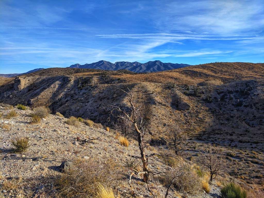 The Slots (Lower Kyle Canyon) | Unnamed Road, Mt Charleston, NV 89124