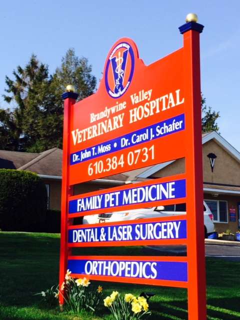 Brandywine Valley Veterinary Hospital and Surgical Referral Serv | 2580 Strasburg Rd, Coatesville, PA 19320, USA | Phone: (610) 384-0731