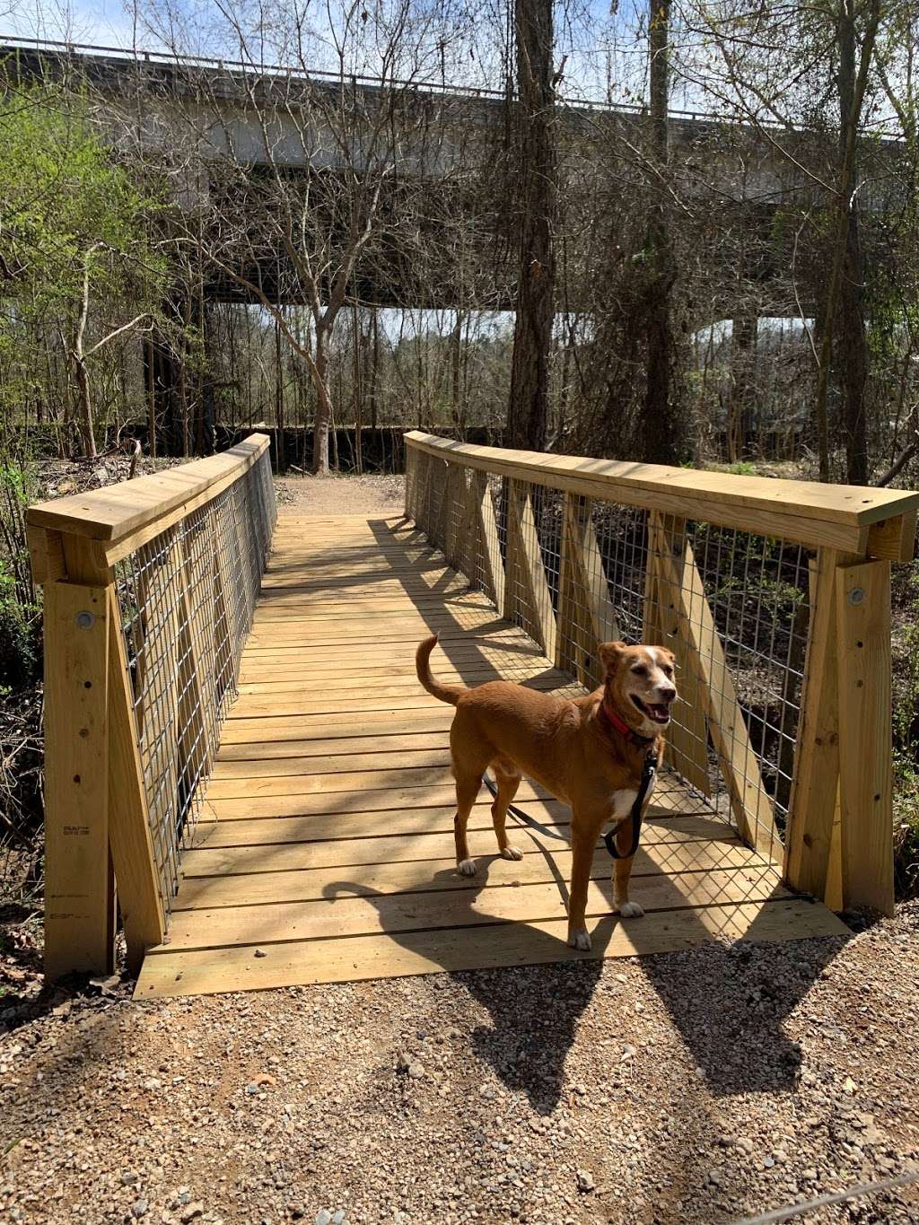 Catawba River Yehasuri Trailhead | 1523-1599 Tom Steven Rd, Rock Hill, SC 29730, USA