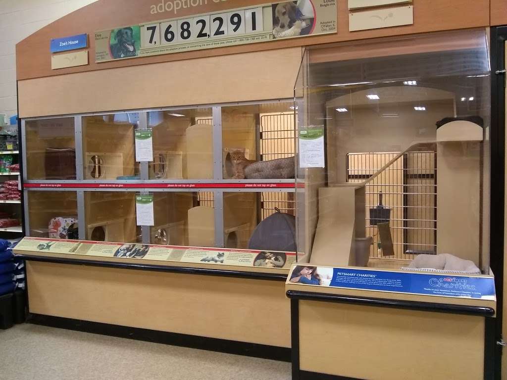 PetSmart | 4210 N 5th Street Hwy, Temple, PA 19560 | Phone: (610) 939-2620