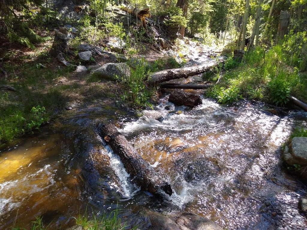 Ben Tyler Trailhead | 54166 US Hwy 285, Bailey, CO 80421, USA