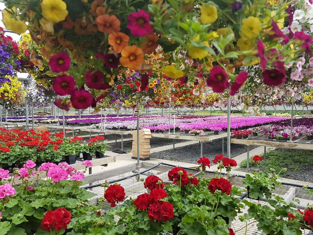 Griers Nursery & Greenhouses in 3229B Grier Nursery Rd, Forest Hill, MD 21050, USA