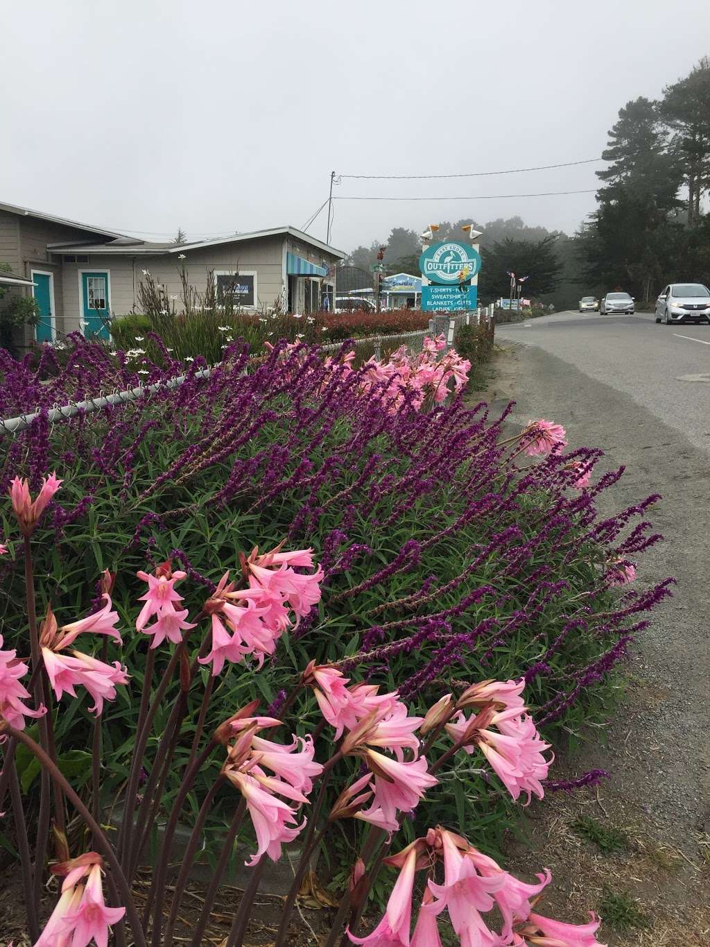 East Shore Outfitters (Bodega Bay Gifts) | 1583-1599 Eastshore Rd, Bodega Bay, CA 94923, USA