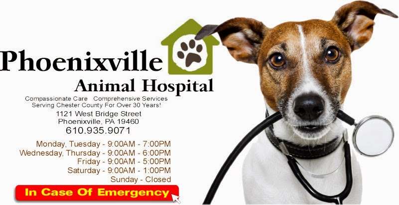 Phoenixville Animal Hospital | 1121 W Bridge St, Phoenixville, PA 19460, USA | Phone: (610) 935-9071