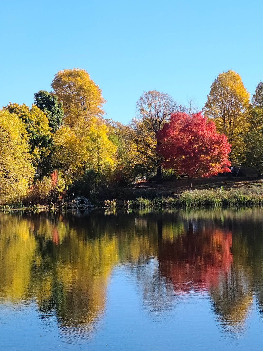 Cedar Pond Park | 2070 Garnet Ln, Eagan, MN 55122, USA | Phone: (651) 675-5500