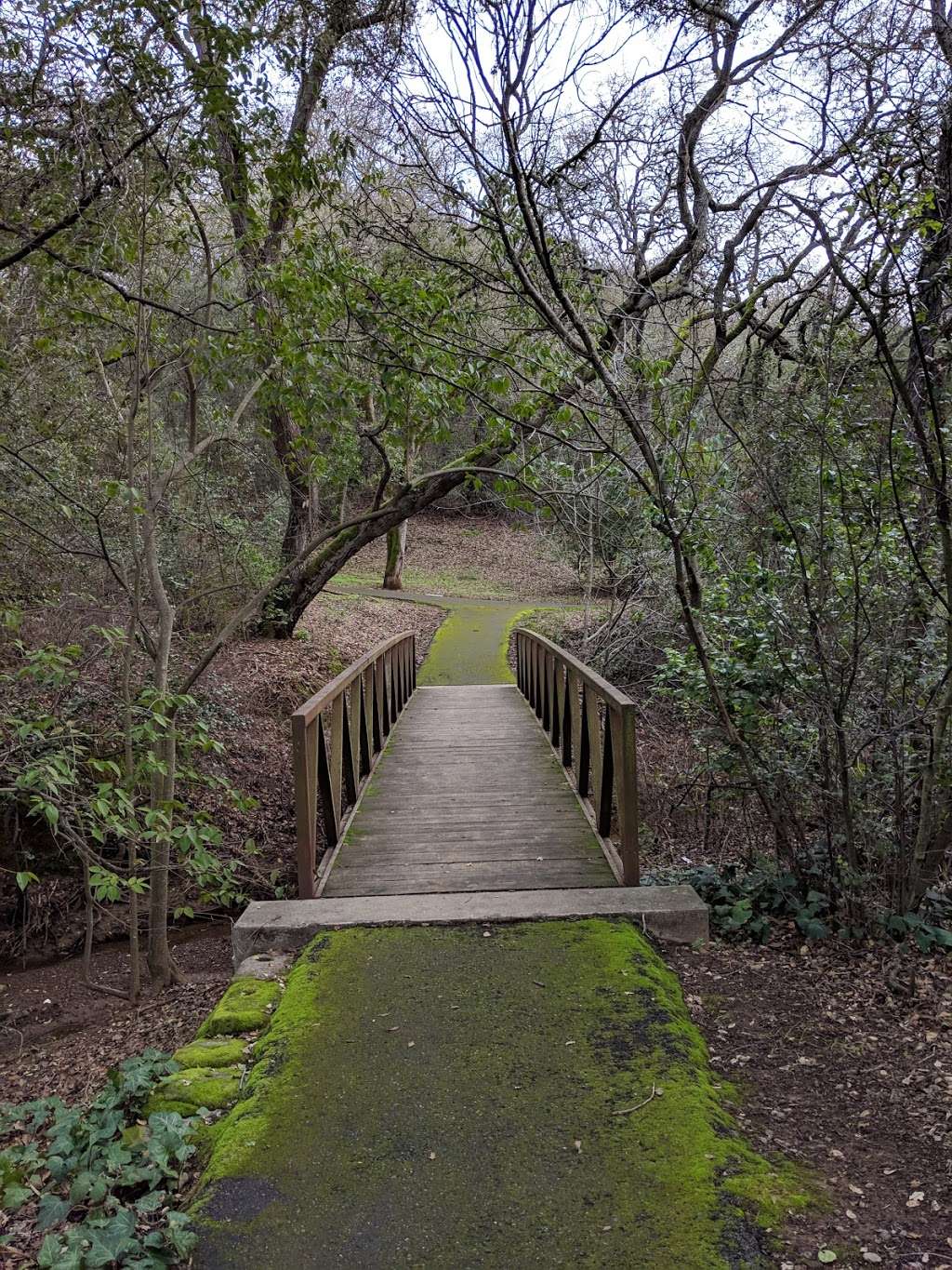 La Rinconada Park | 151 Granada Way, Los Gatos, CA 95032, USA | Phone: (408) 399-5770