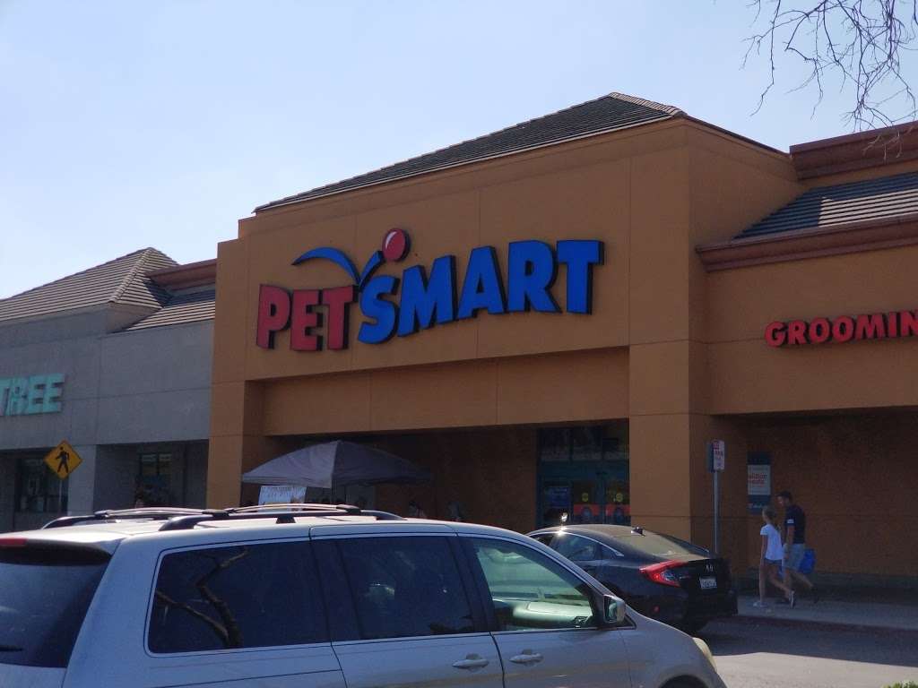 PetSmart | 3396 Murphy Canyon Rd, San Diego, CA 92123 | Phone: (858) 571-0300