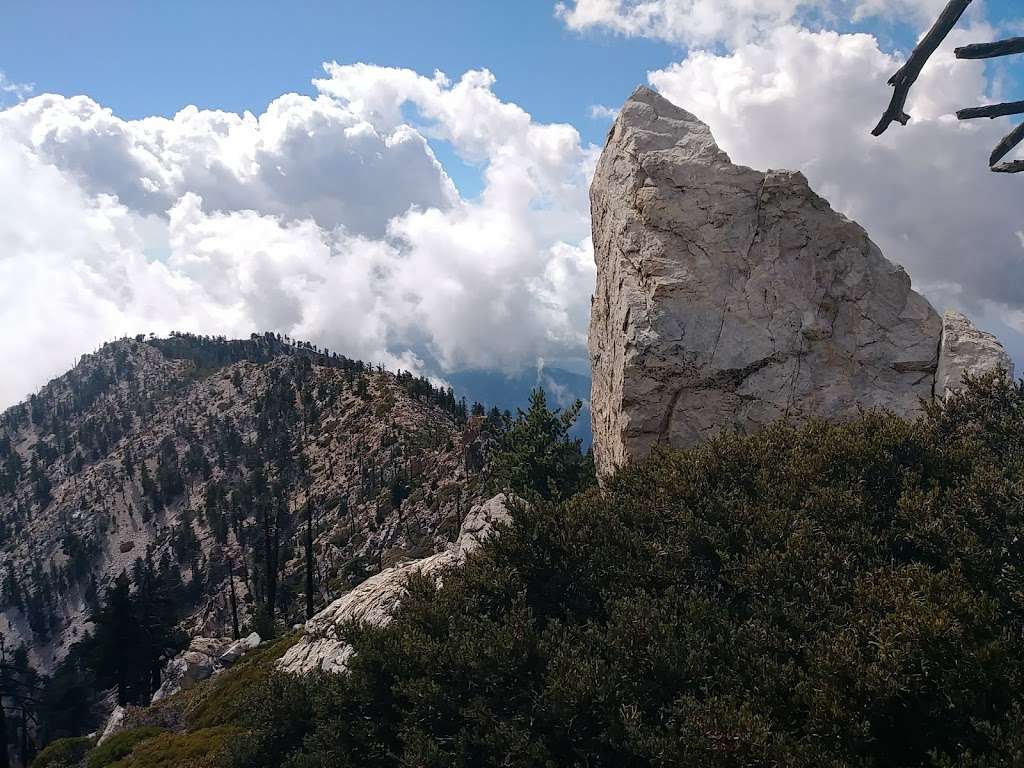 Kelly Camp | Mt Baldy, CA 91759