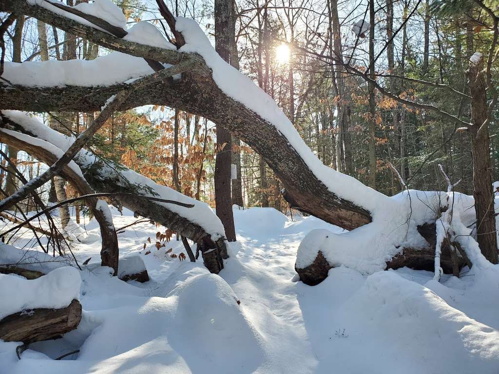 Betty Arnold Forest Desmarais Trailhead | 12-24 Austin Rd, Amherst, NH 03031, USA