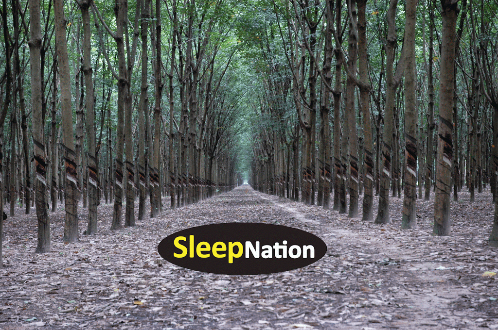 SleepNation | 9619 E County Line Rd, Centennial, CO 80112 | Phone: (303) 799-0202