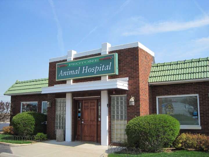 Peotone Animal Hospital | 431 S Governors Hwy, Peotone, IL 60468, USA | Phone: (708) 258-6191