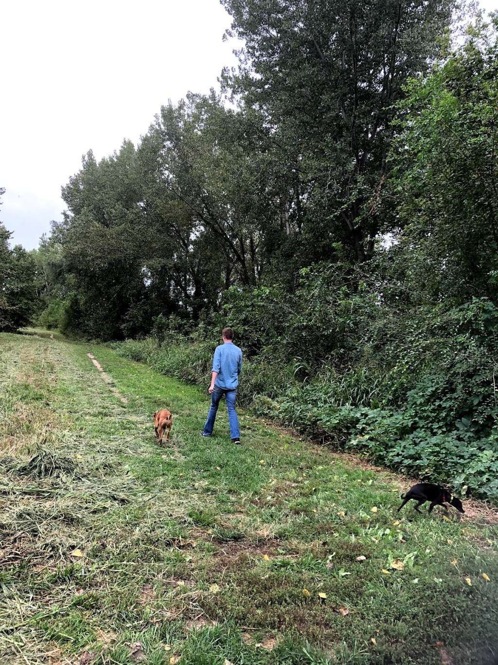 Riverfront Off Leash Dog Park | 074-19-0-20-02-002.01, 0, Lawrence, KS 66044, USA