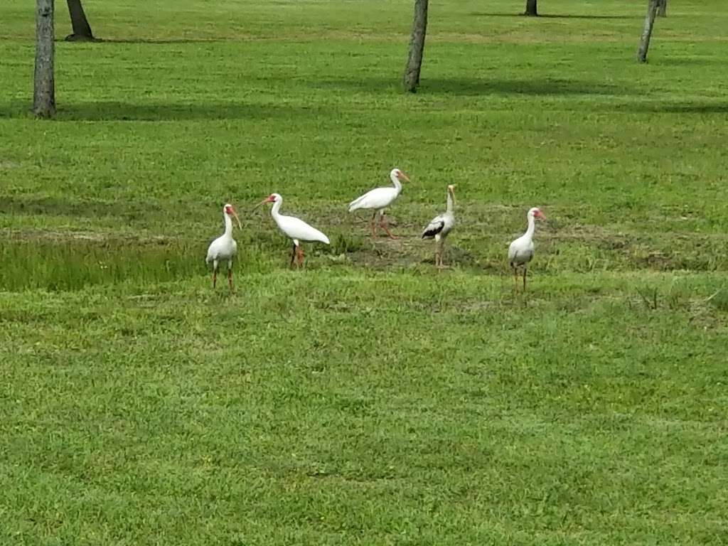 Shadow Creek Ranch Nature Trail | 1801 Kingsley Dr, Pearland, TX 77584, USA | Phone: (281) 412-8900