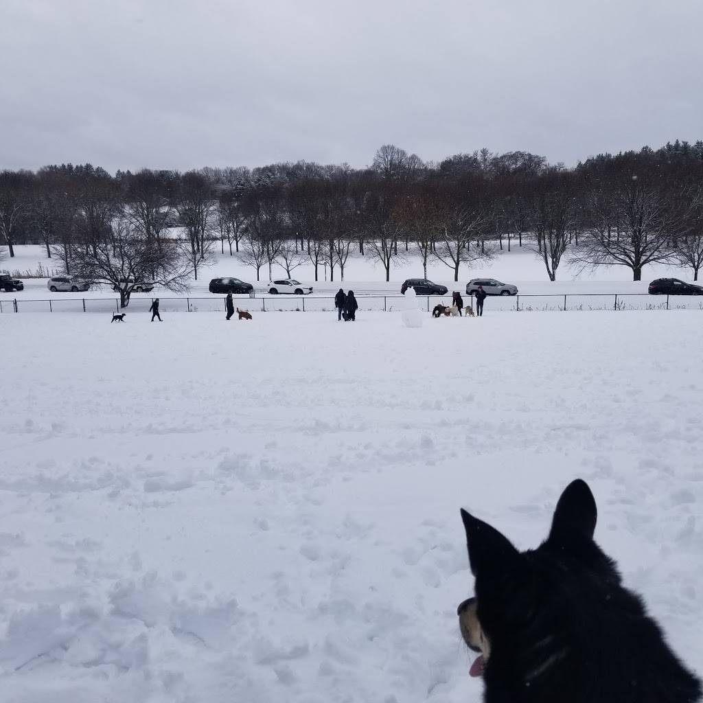 Currie Dog Park | 3535 N Mayfair Rd, Wauwatosa, WI 53222, USA | Phone: (414) 257-7275