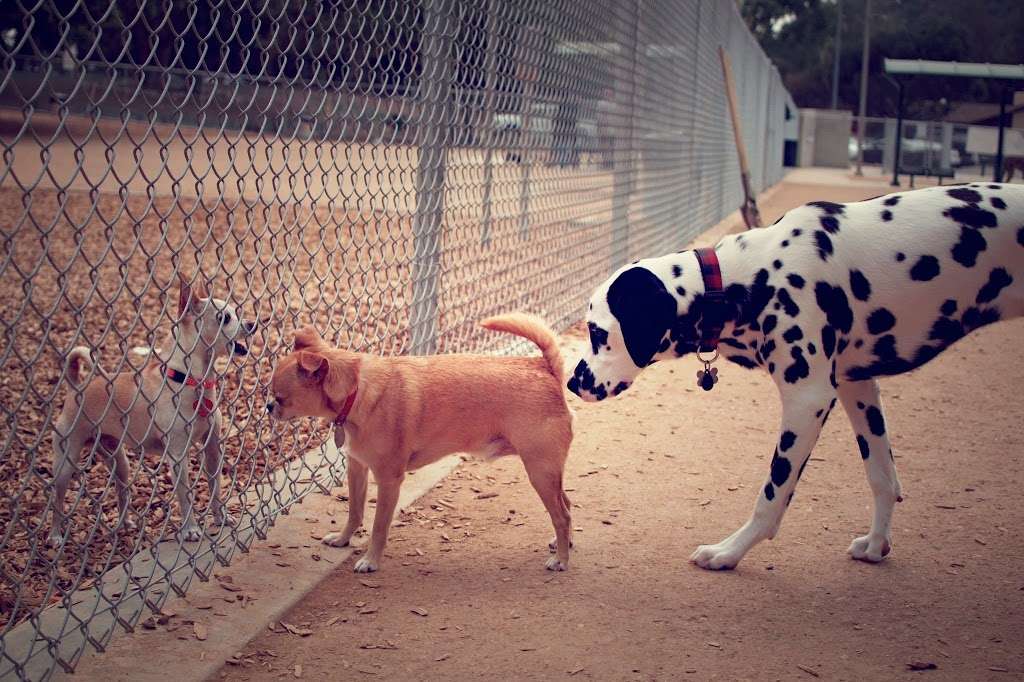 Crescenta Valley Dog Park | Glendale, CA 91214, USA