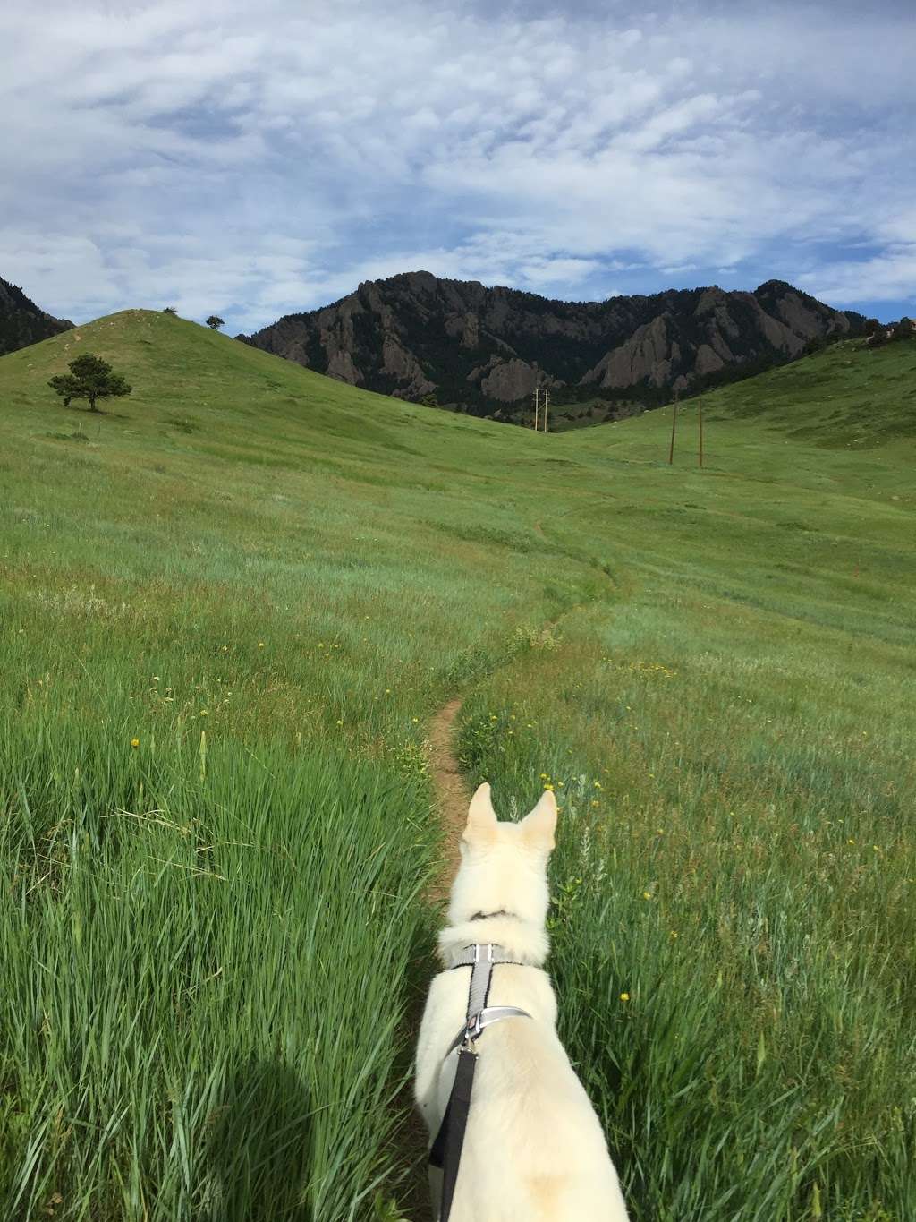 Bear Canyon | Fern Canyon Trail, Boulder, CO 80302, USA