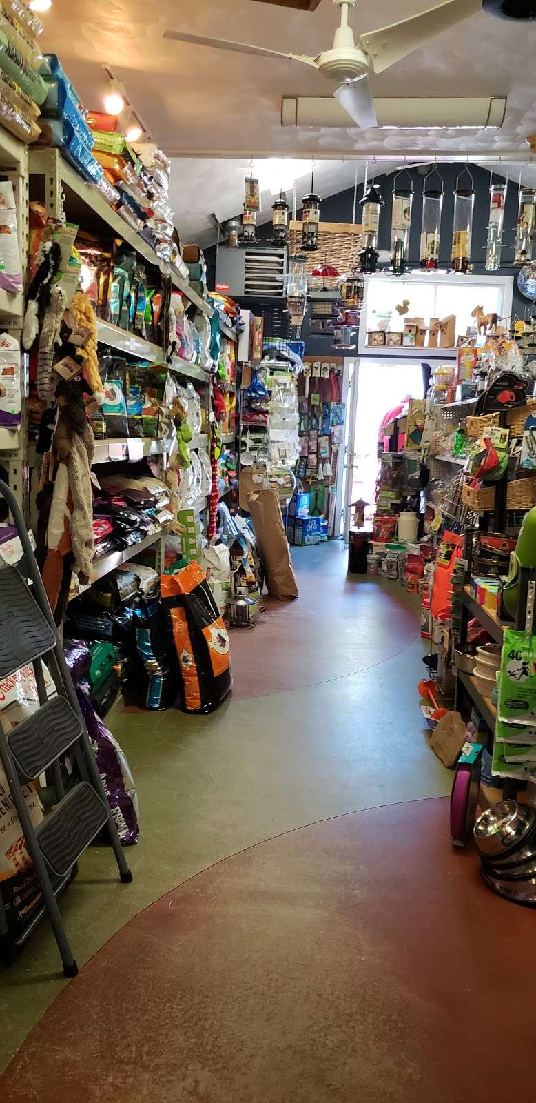 Essex Bird & Pet Supply | 121r Eastern Ave, Essex, MA 01929 | Phone: (978) 768-7408