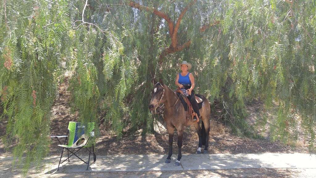 Arroyo Simi Equestrian Center | 2900 Royal Ave, Simi Valley, CA 93065 | Phone: (805) 584-4400