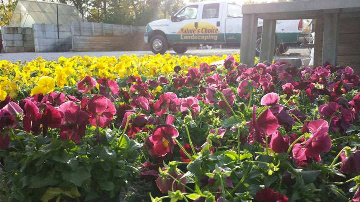 Natures Choice Landscape, Garden Center & Growing Image | 3760 S Green St, Brownsburg, IN 46112 | Phone: (317) 852-2647