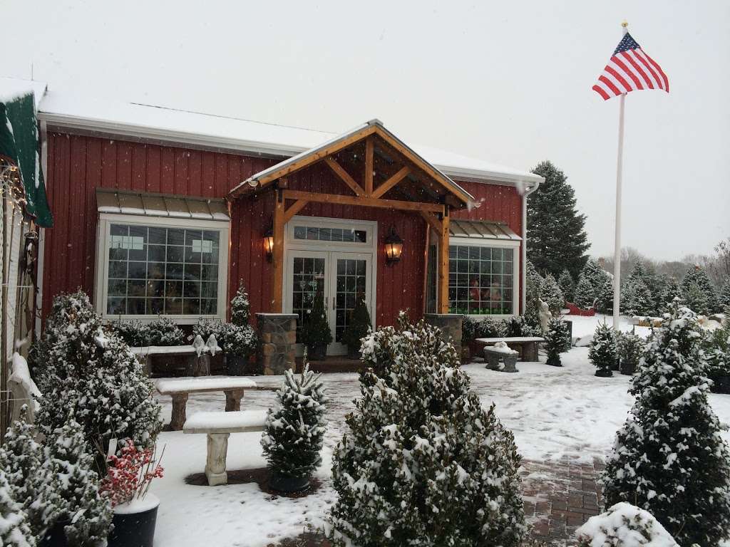 Keris Tree Farm & Christmas Shop | 848 Rte 524, Allentown, NJ 08501, USA | Phone: (609) 259-0720