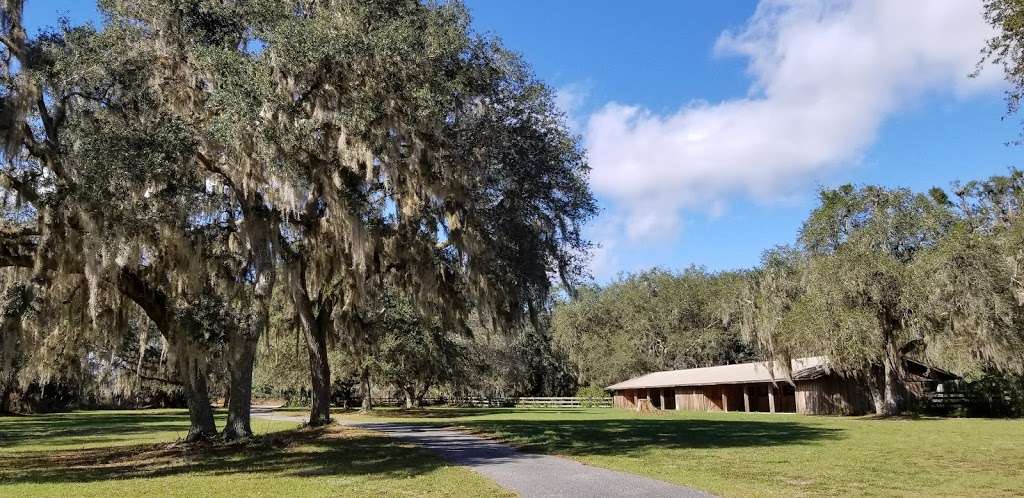 The Hammock House On Wekiva River | 30218 Wekiva River Rd, Sorrento, FL 32776, USA | Phone: (352) 266-9326