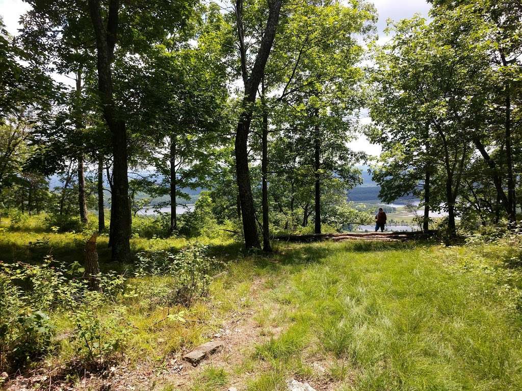 Upper Spur Trail Head | Hardwick Township, NJ 07825, USA