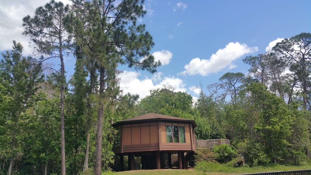 Boat Launch - Treehouse Villas at Disneys Saratoga Springs Reso | Lake Buena Vista, FL 32830, USA