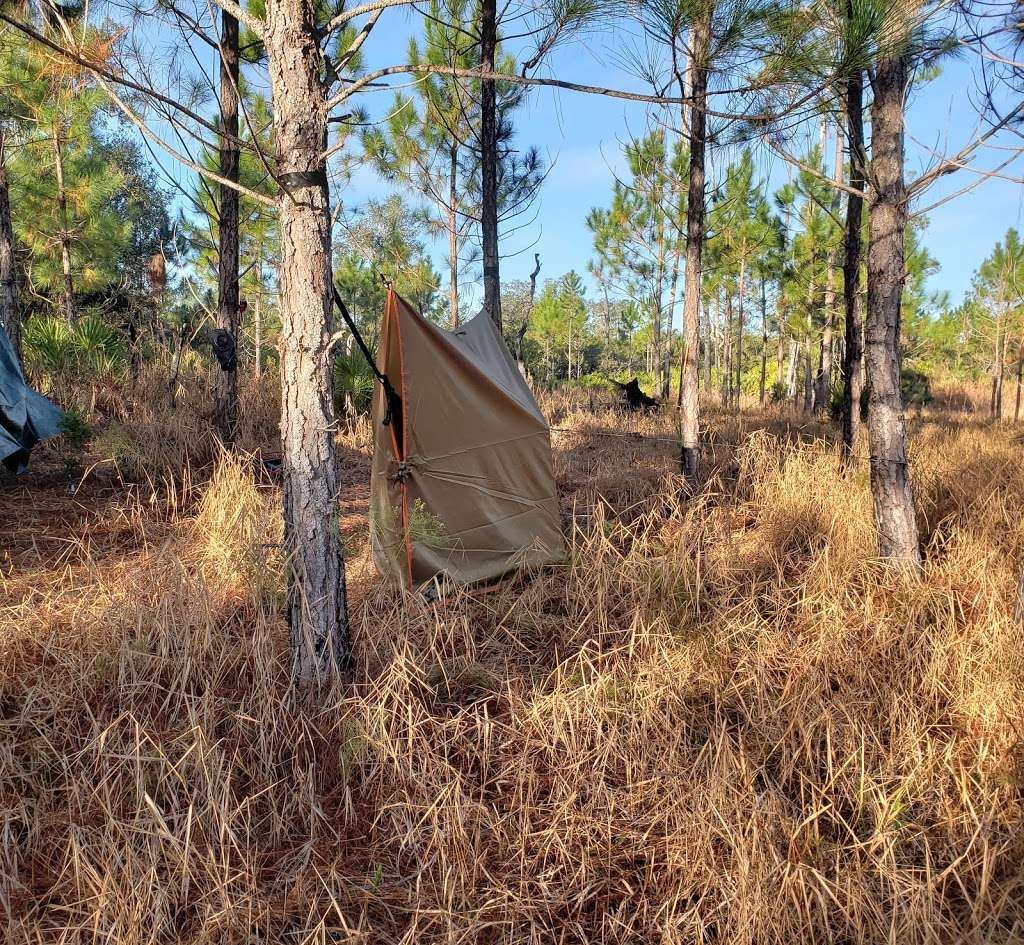 Juniper Prairie Wilderness | East Marion, FL, USA | Phone: (352) 625-2520