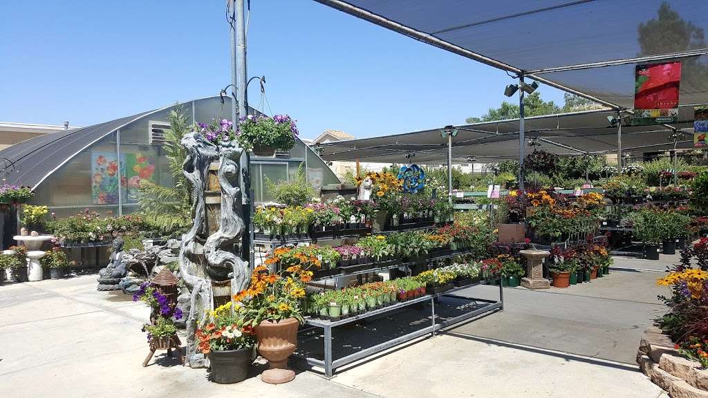 Green Thumb Nursery - Santa Clarita | 23734 Newhall Ave, Newhall, CA 91321, USA | Phone: (661) 259-1071