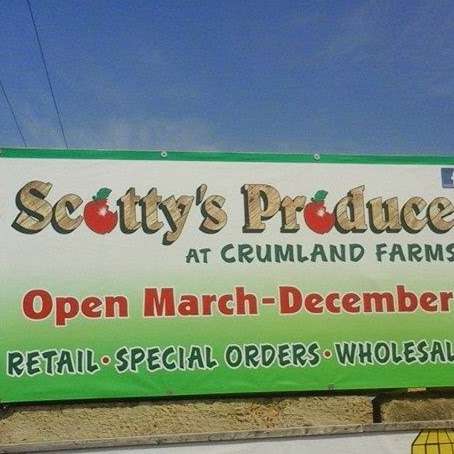 Scottys Produce | 7612 Willow Rd, Frederick, MD 21702, USA