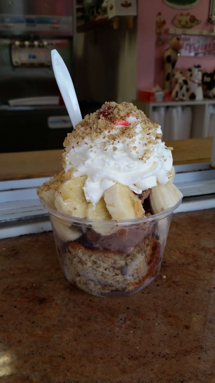 Dairy Twist | 580 Washington St, Pembroke, MA 02359, USA | Phone: (781) 826-5955