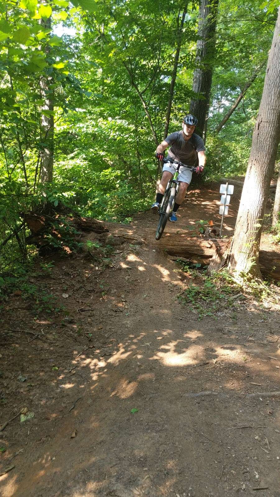 Rocky branch mtn bike trail | 298 W Woodrow Ave, Belmont, NC 28012