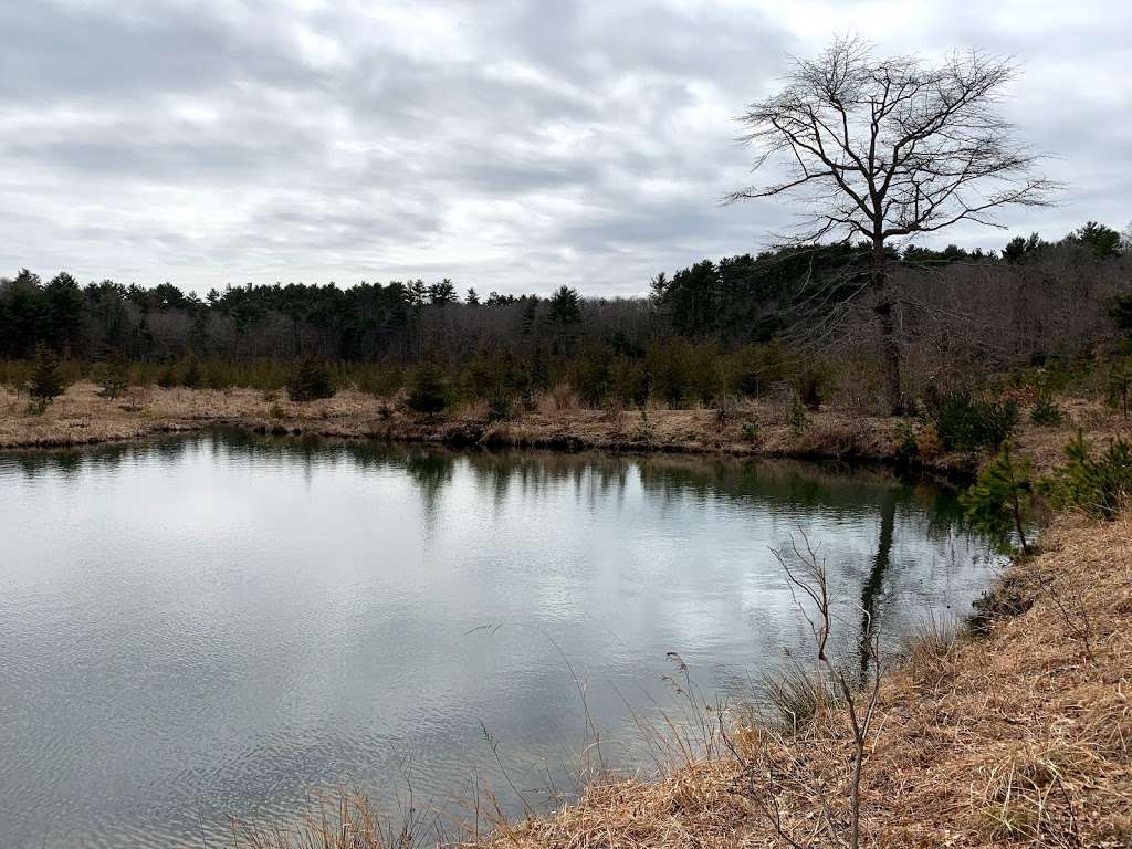 Eel River Preserve | 4 Boot Pond Rd, Plymouth, MA 02360, USA