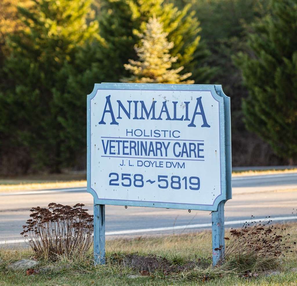 Animalia Veterinary Care | 4684 Valley Rd, Berkeley Springs, WV 25411, USA | Phone: (304) 258-5819