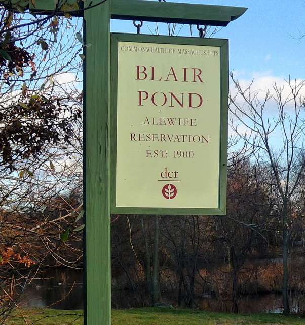 Blair Pond | Normandy Ave, Cambridge, MA 02138