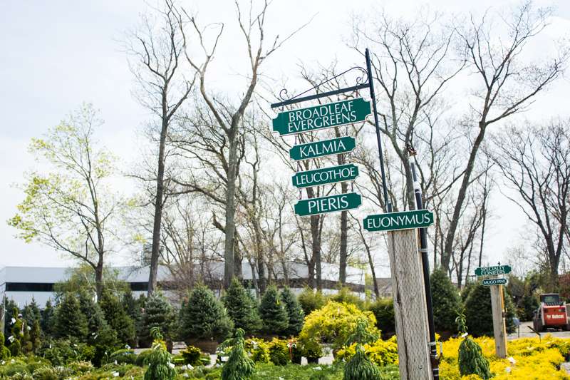 Northeast Nursery Contractor Center 8 Dearborn Rd, Peabody, MA 01960